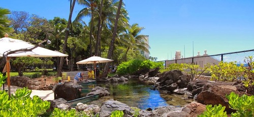 Waikiki Aquarium 1