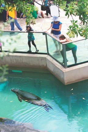 Waikiki_Aquarium_concert_series_summer_2010