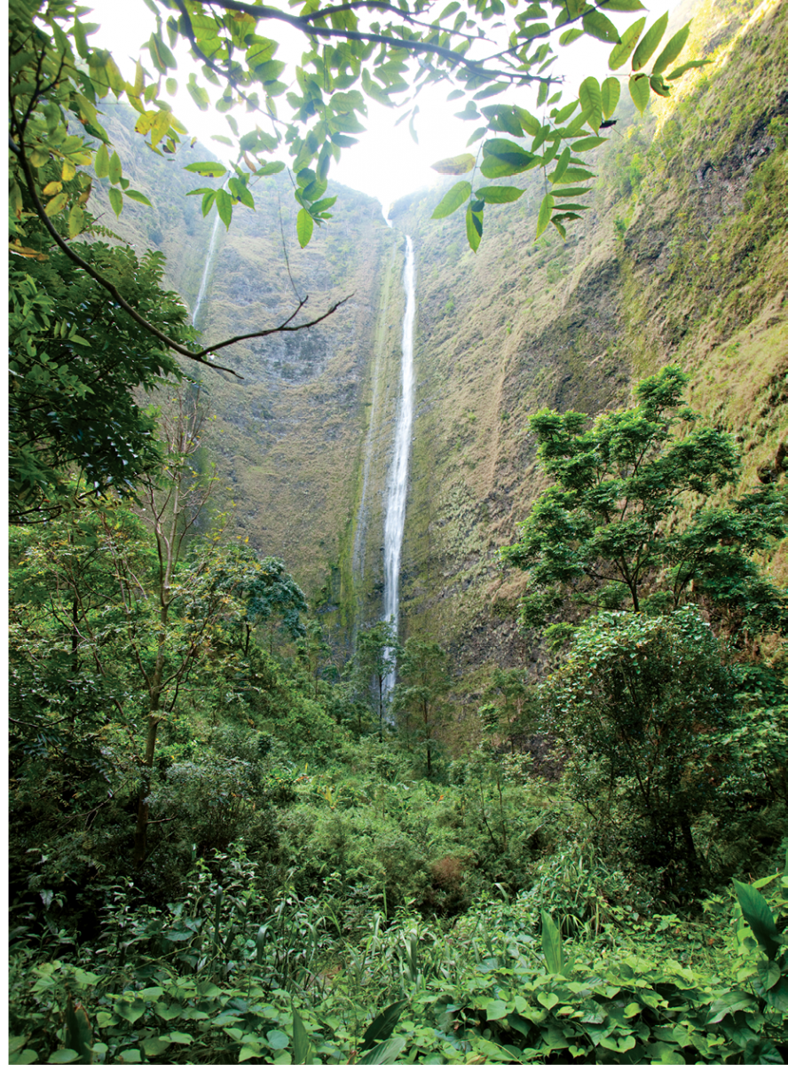 waipio valley hawaii