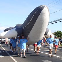 Whale_Day_Maui_weekend