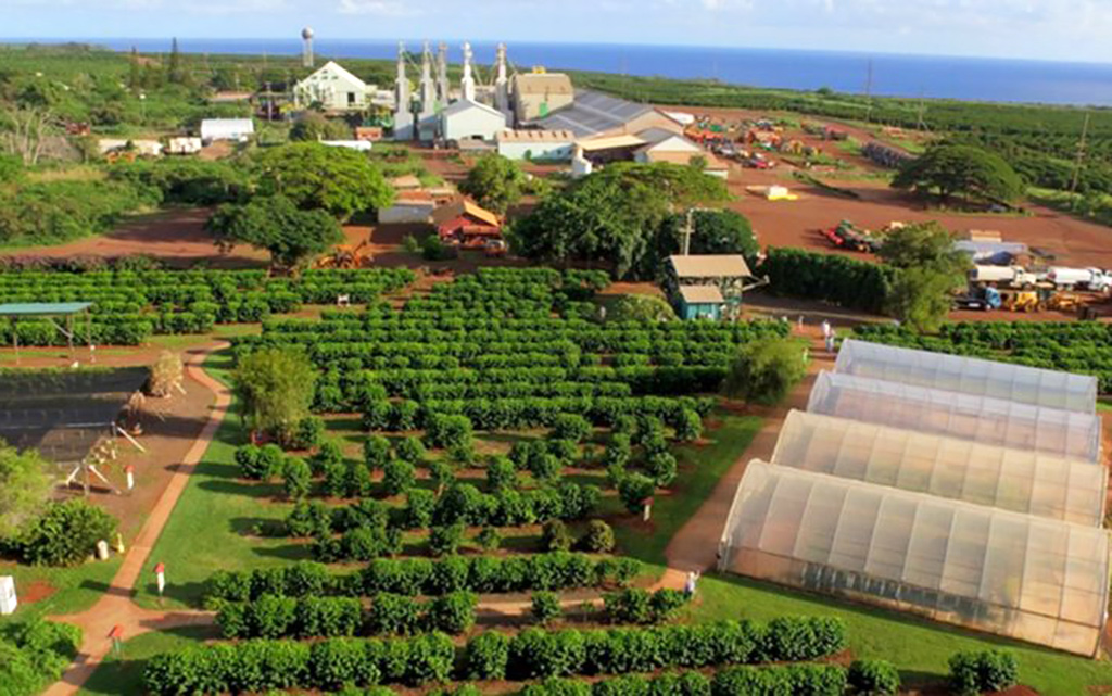 aerial-processing-1024x455