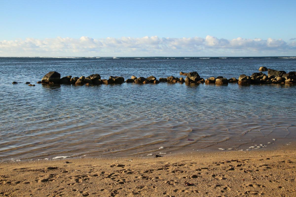 anini beach snorkeling