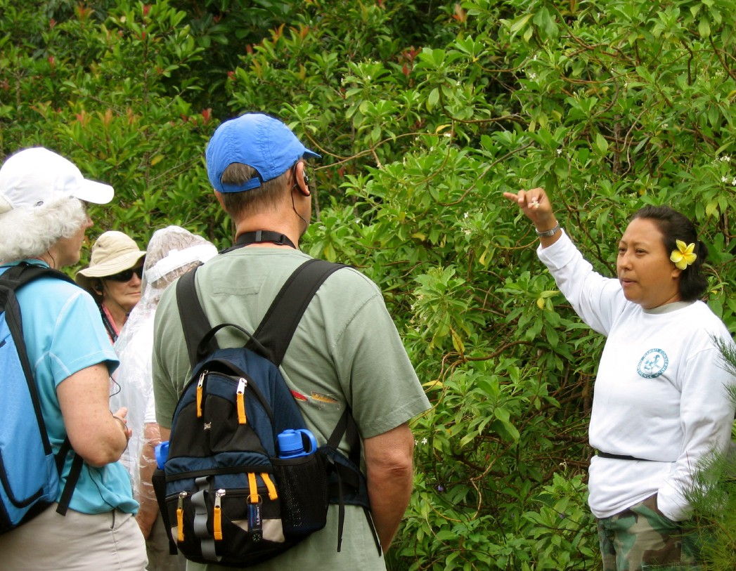 Hawaii_Oahu_Maui_Big Island_Kauai_Molokai_ecotourism