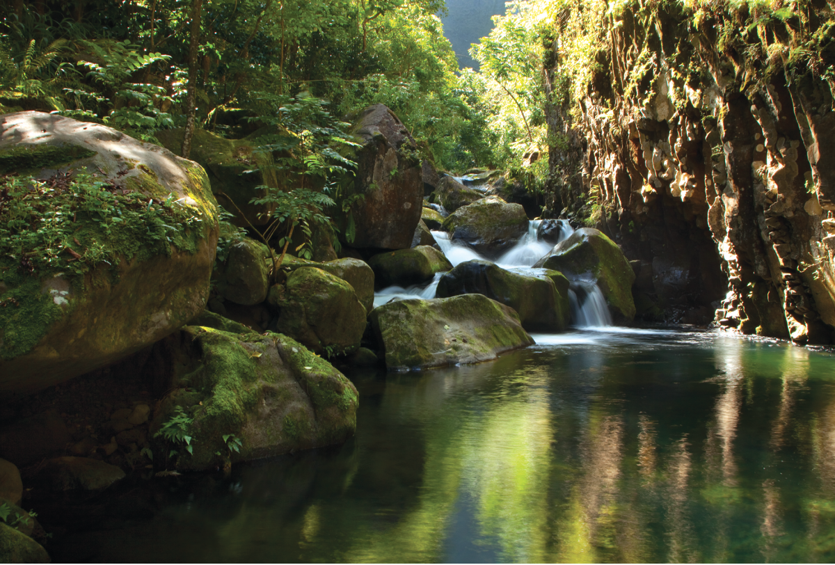 waipio valley hawaii