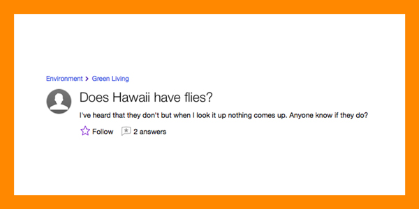 questions hawaii online