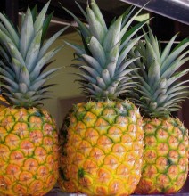 fresh pineapples