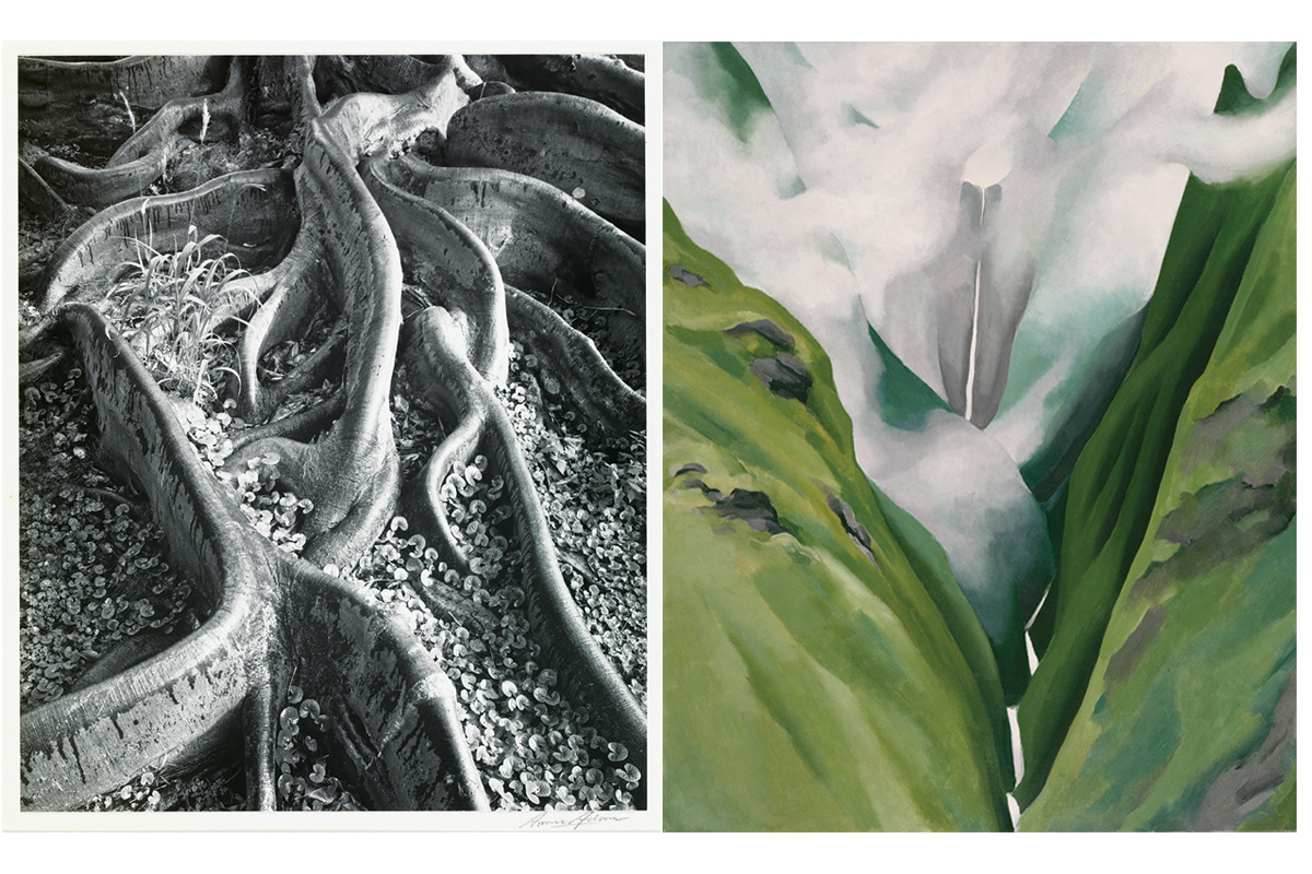 See Hawaii through the eyes of Georgia O'Keeffe and Ansel Adams