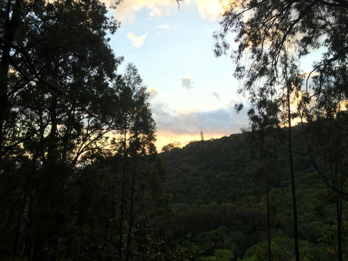makiki valley loop trail oahu