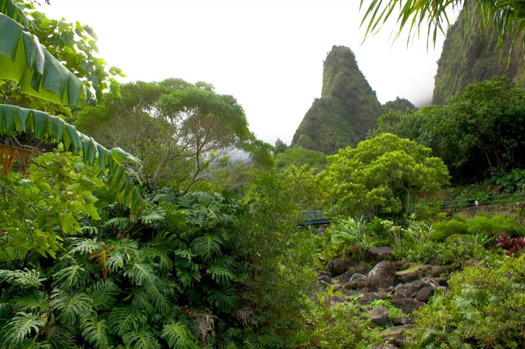 iao valley