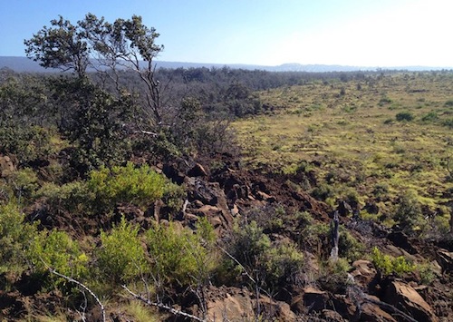 kahuku-iki-677-x-481