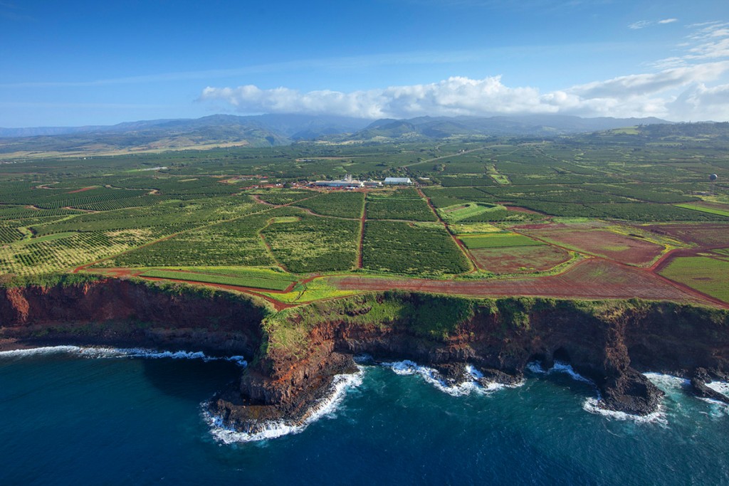 kauaicoffee