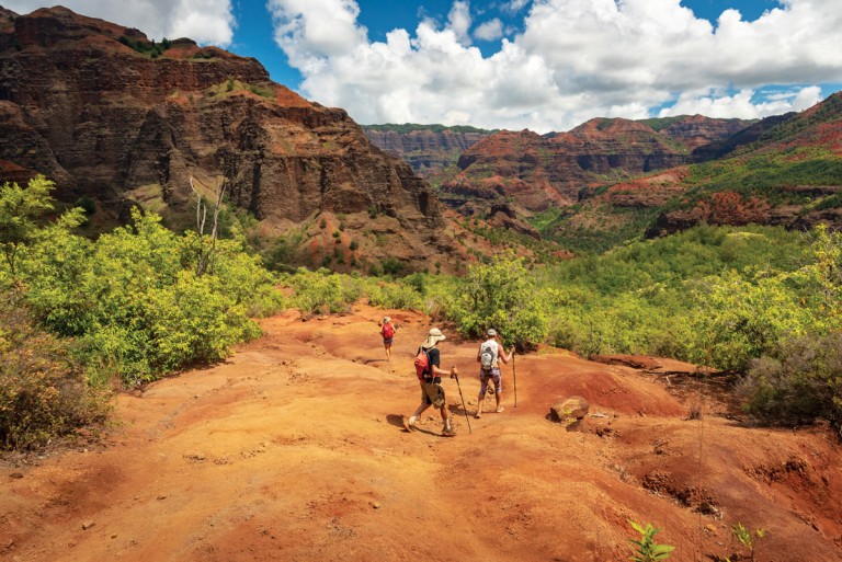 kukui-trail_waimea-_canyon-edits-hi-res-4