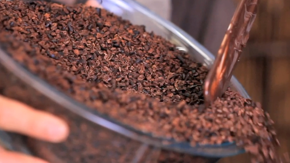 hawaii-chocolate-tasting-tips