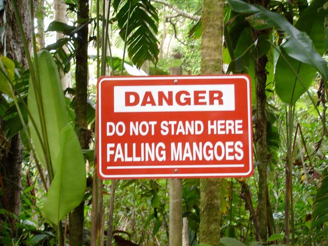 hawaii signs