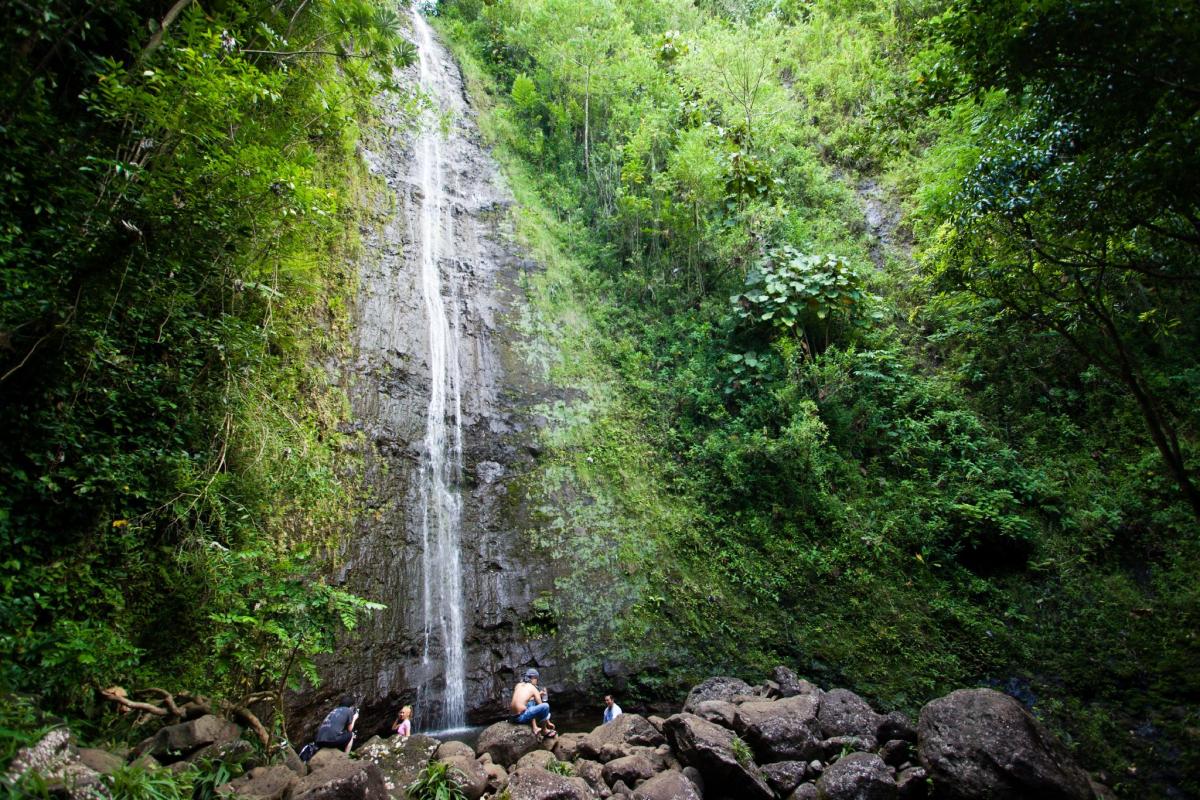 manoa falls oahu