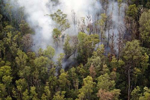 hawaii_island_kilauea_lava_pahoa_puna_district