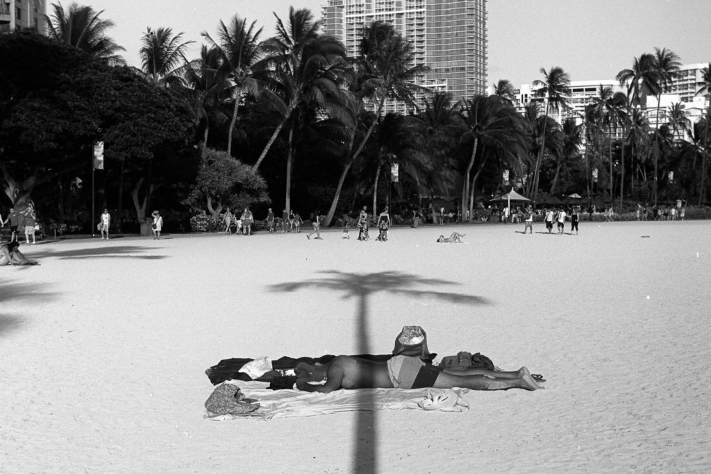 paradise views waikiki chris rohrer