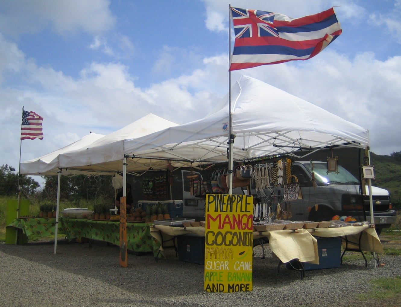 Oahu_roadside_treasures 