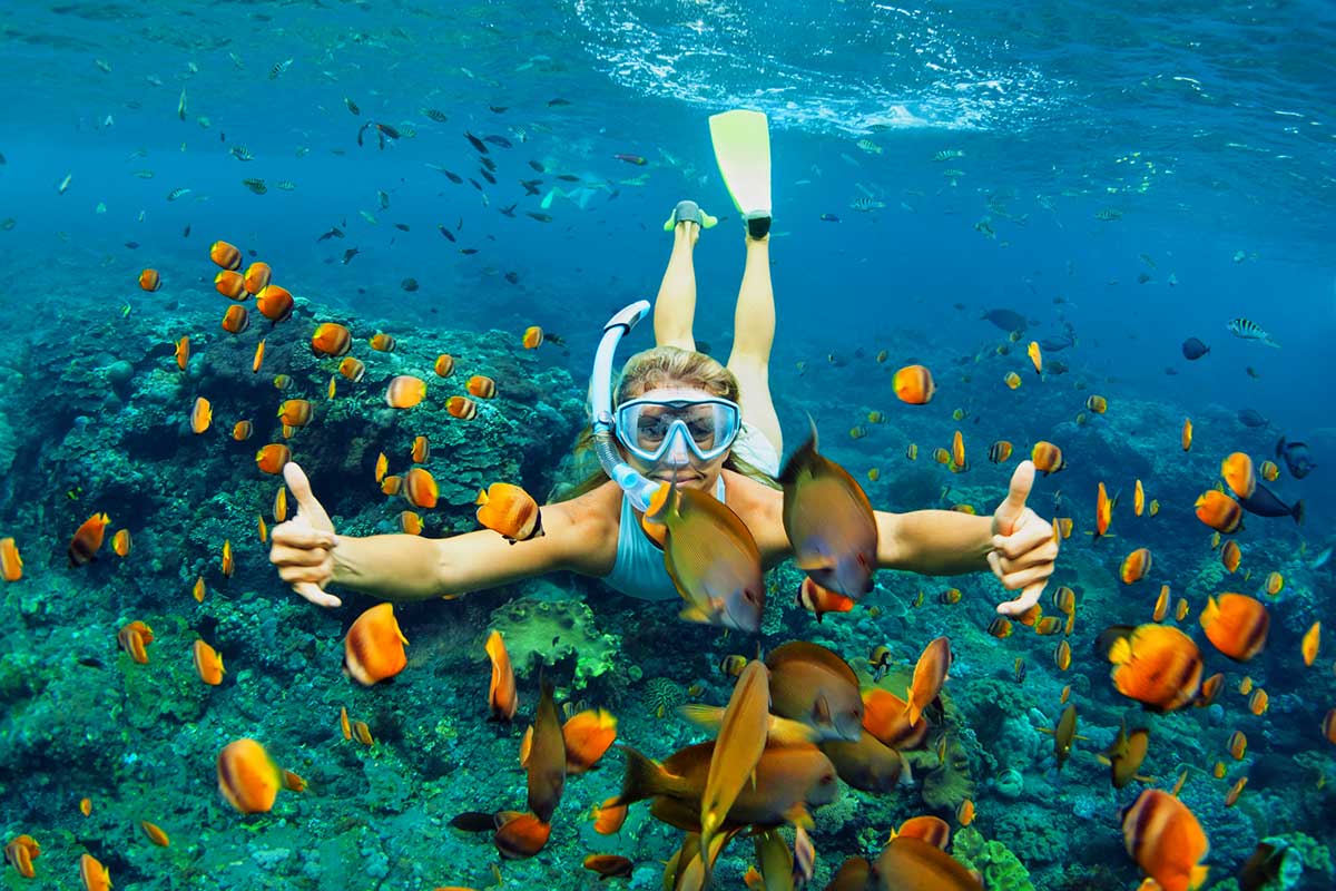 snorkeler