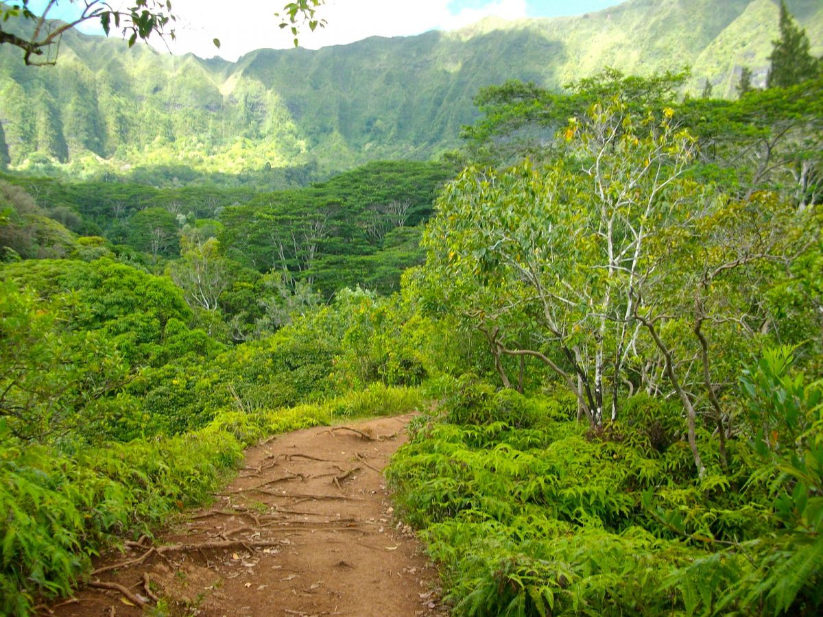 hiking hawaii