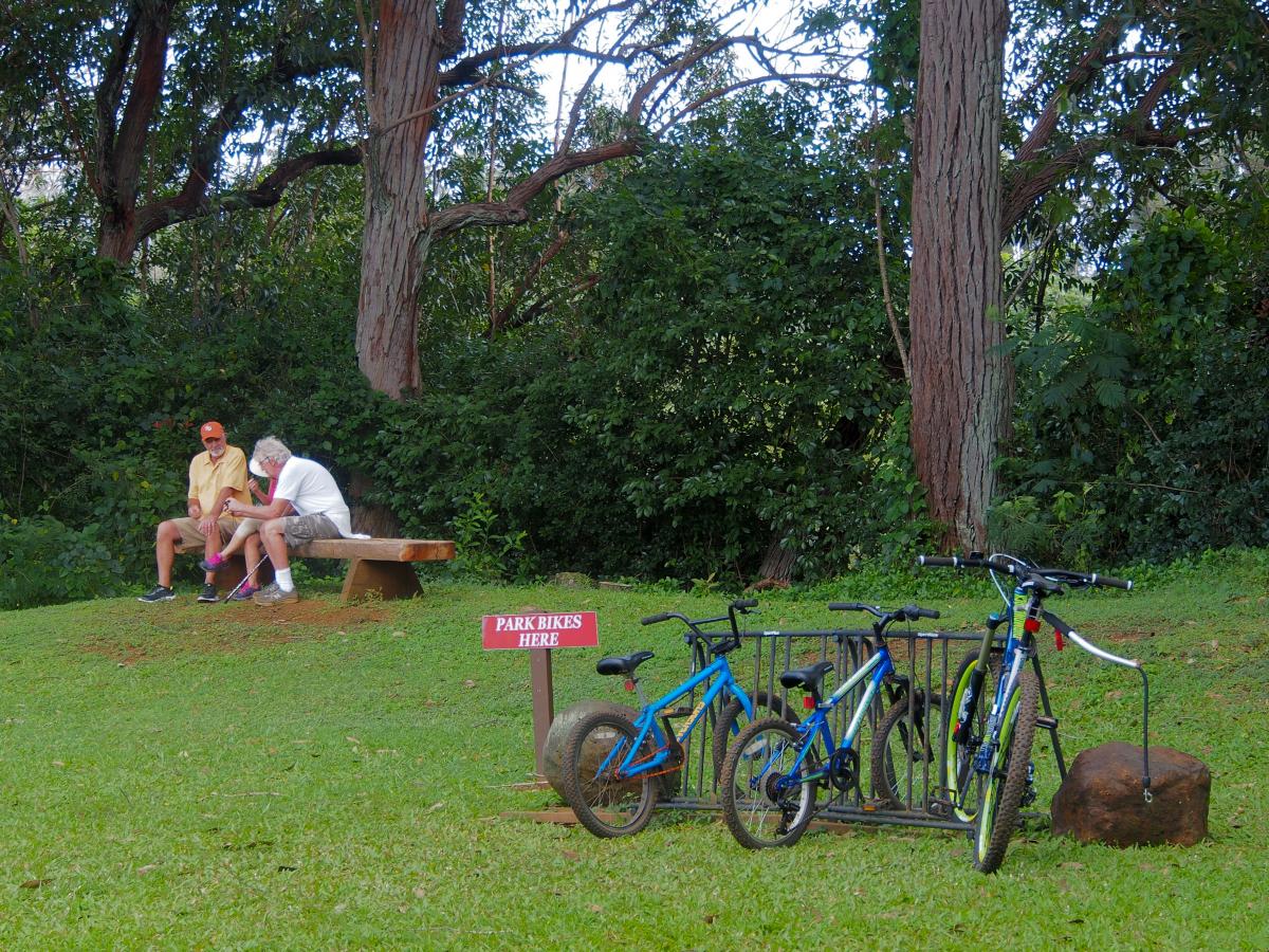 wai koa loop trail kauai