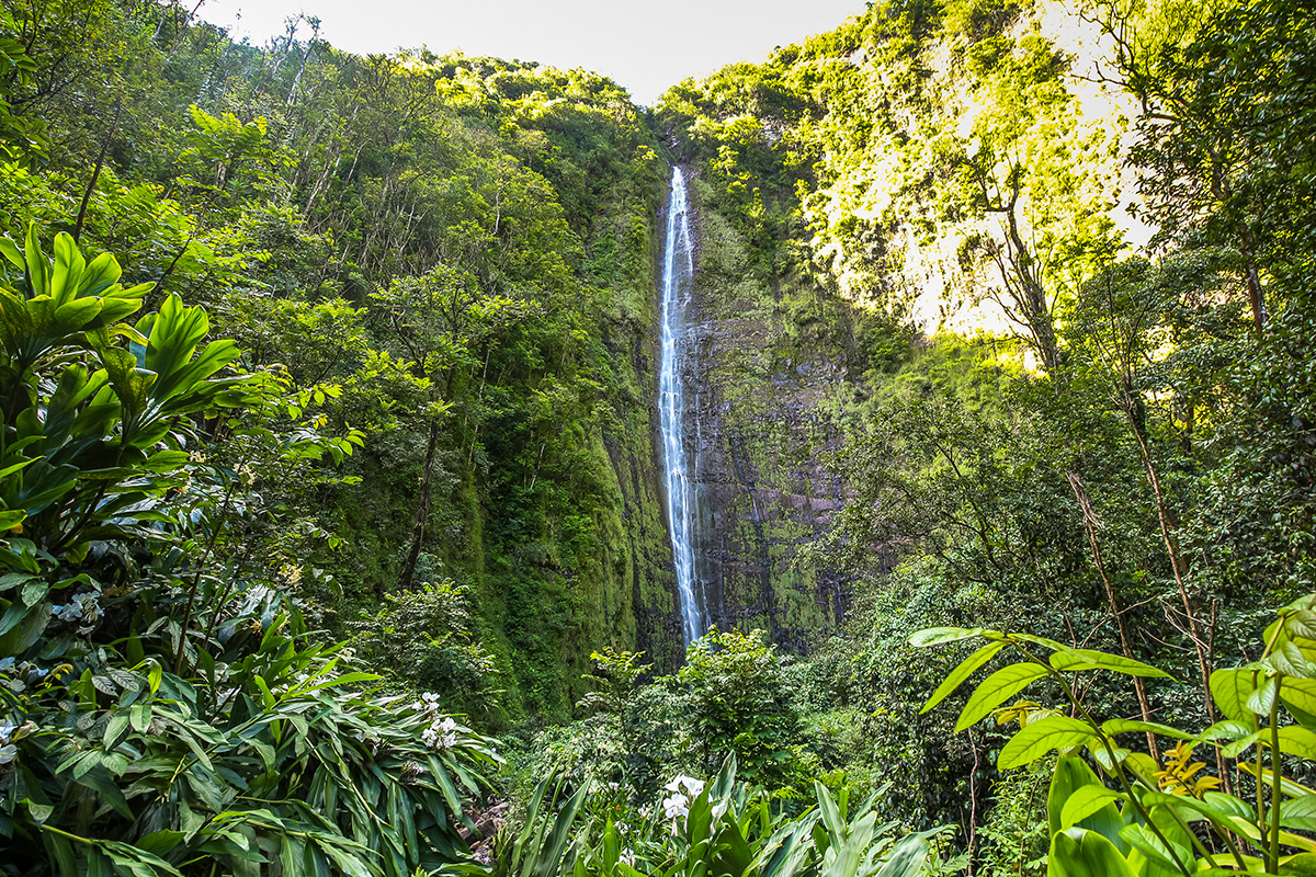 waimoku falls maui