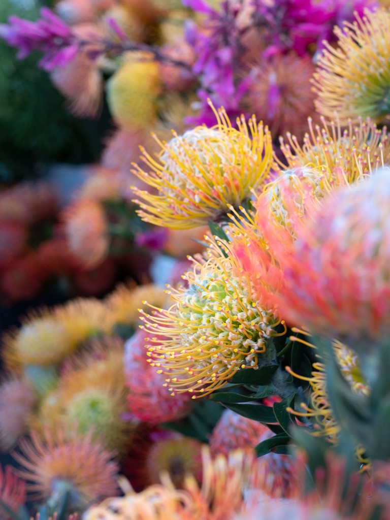 Flowers at Upcountry Farmers Market on Maui