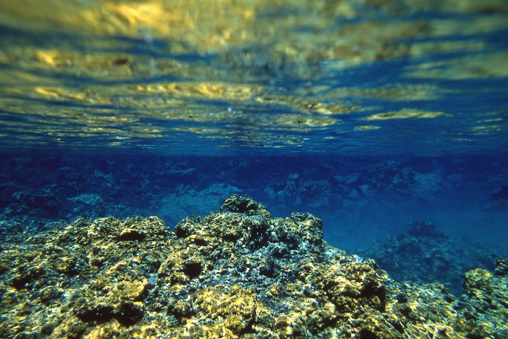 Abchialinepondshawaiiisland