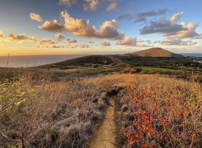 Kokocrater Kokonutkoalition