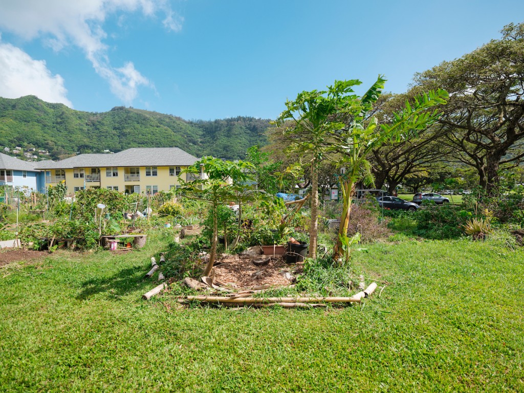 Him2104 Ay Community Gardens Manoa 7604