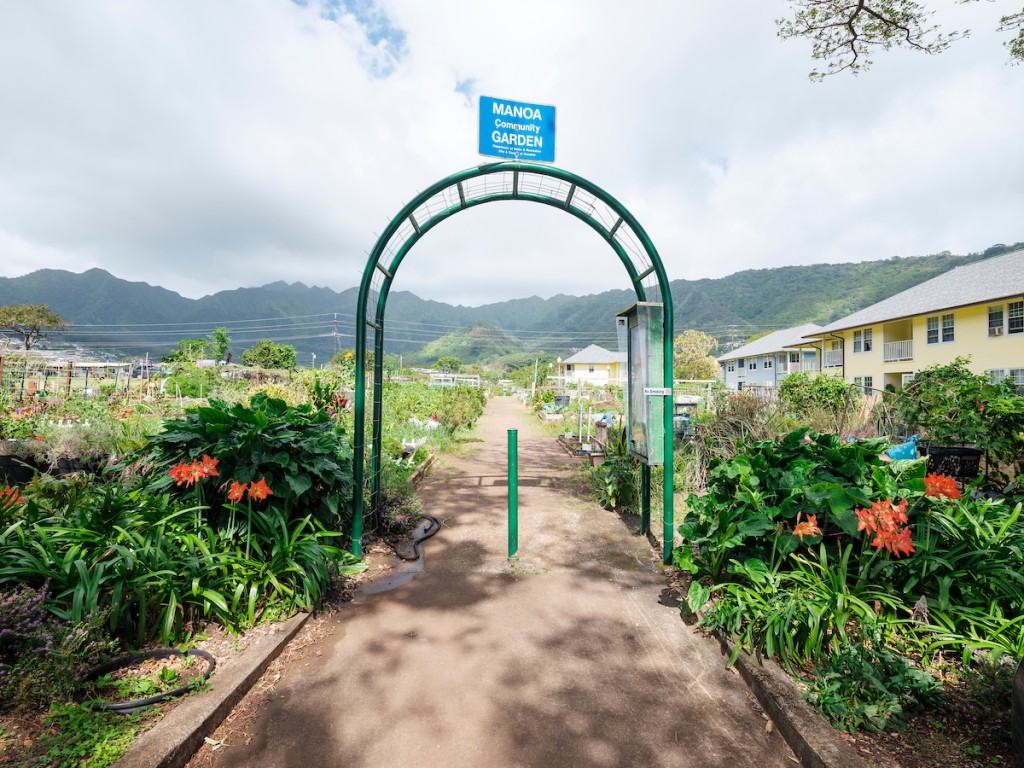 Him2104 Ay Community Gardens Manoa 7570