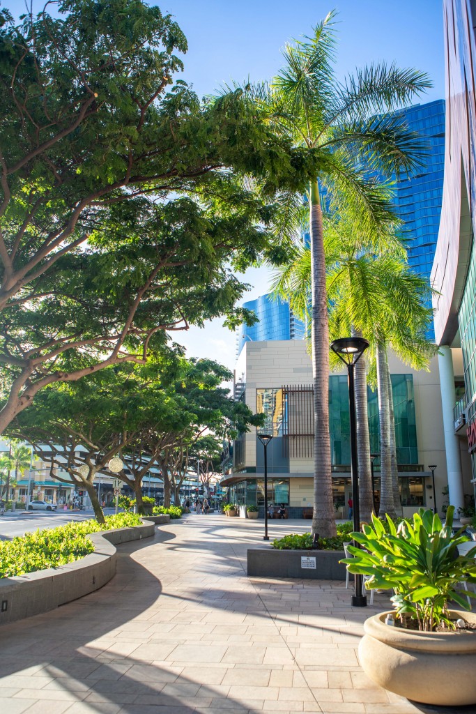 Auahi Street Promenade