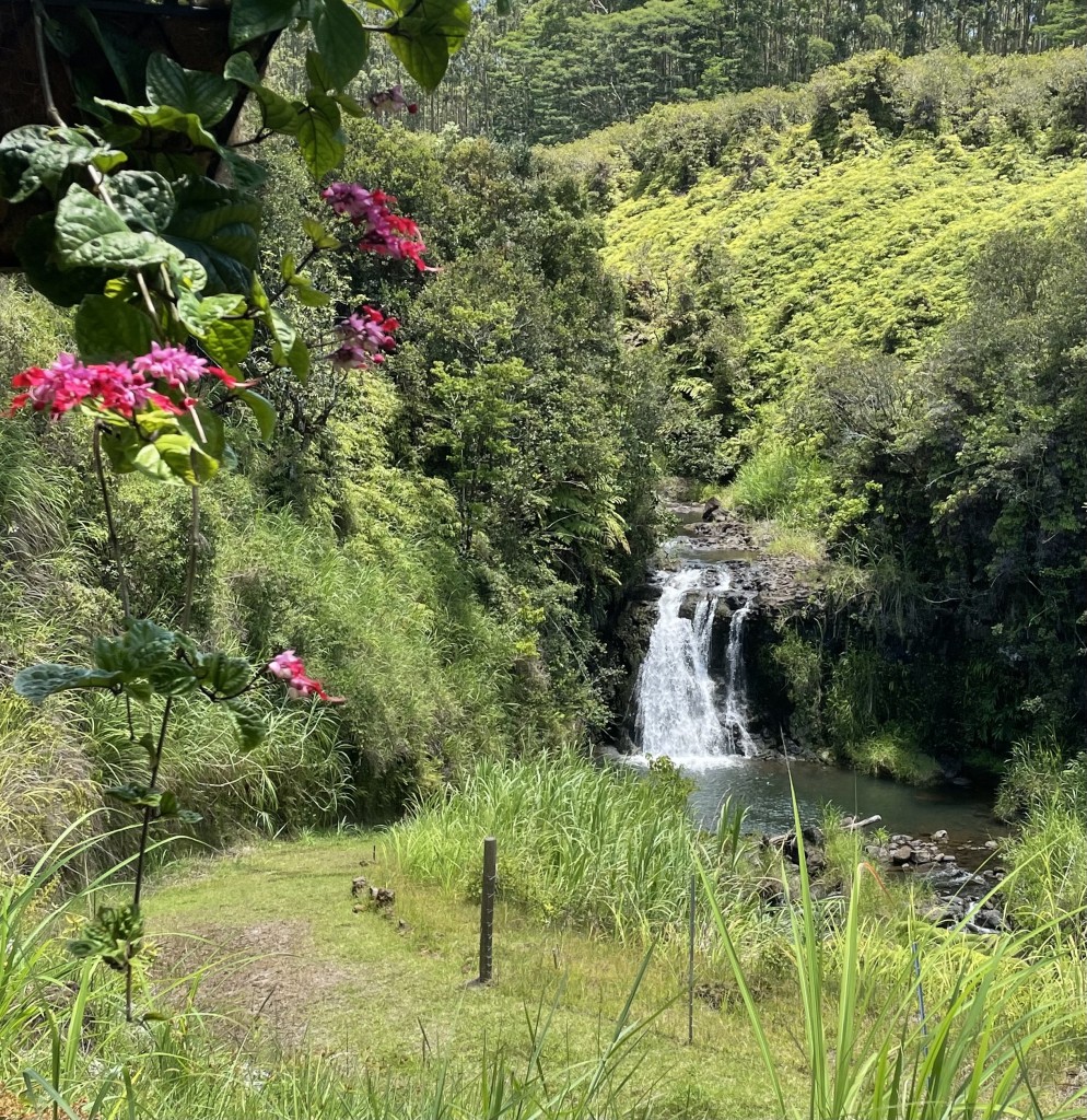 Lavaloha Waterfall 1