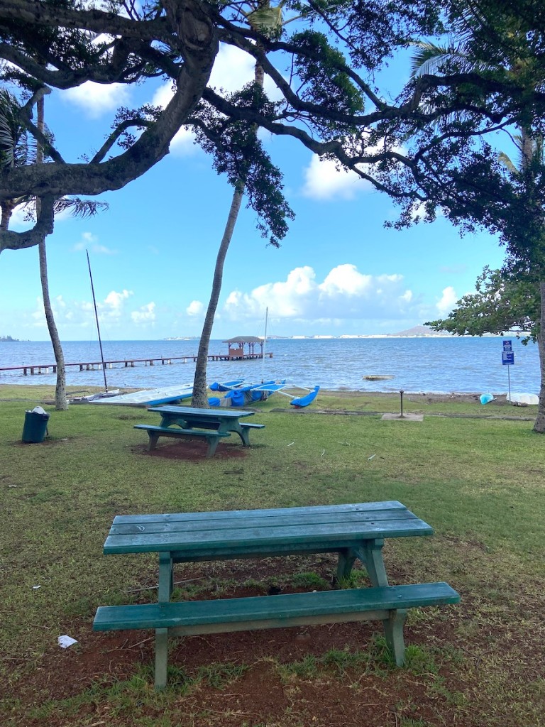Kaneohebeach Picnic
