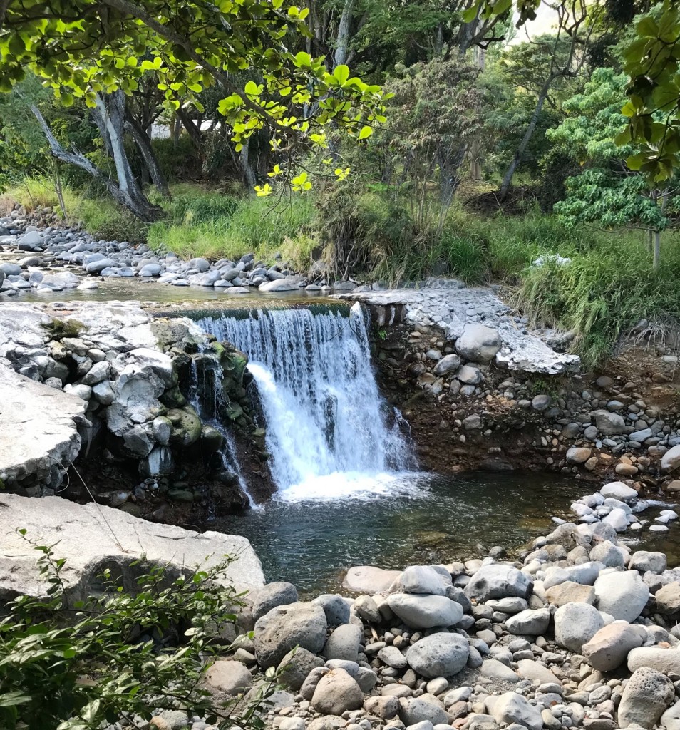 Waterfall On The Property