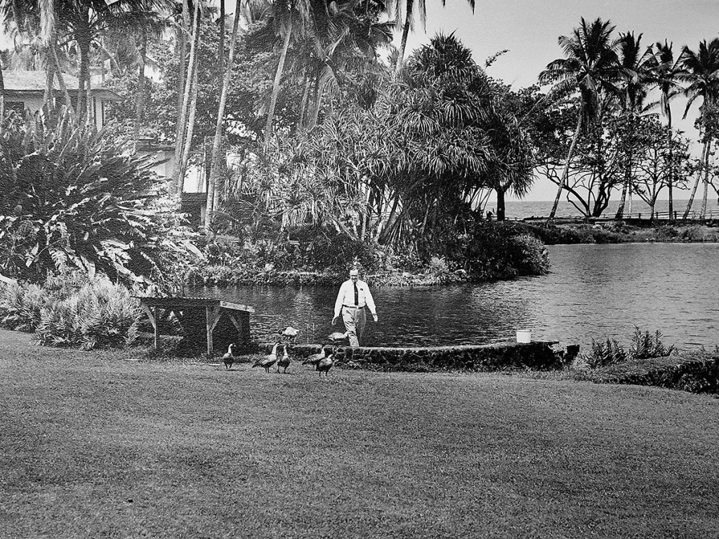 Hn1905 Dc Shipman Nene 4966