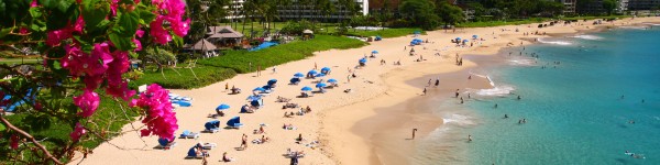 Kaanapali Maui Hawaii Beach Ocean Front Resort Hotel And Flowers