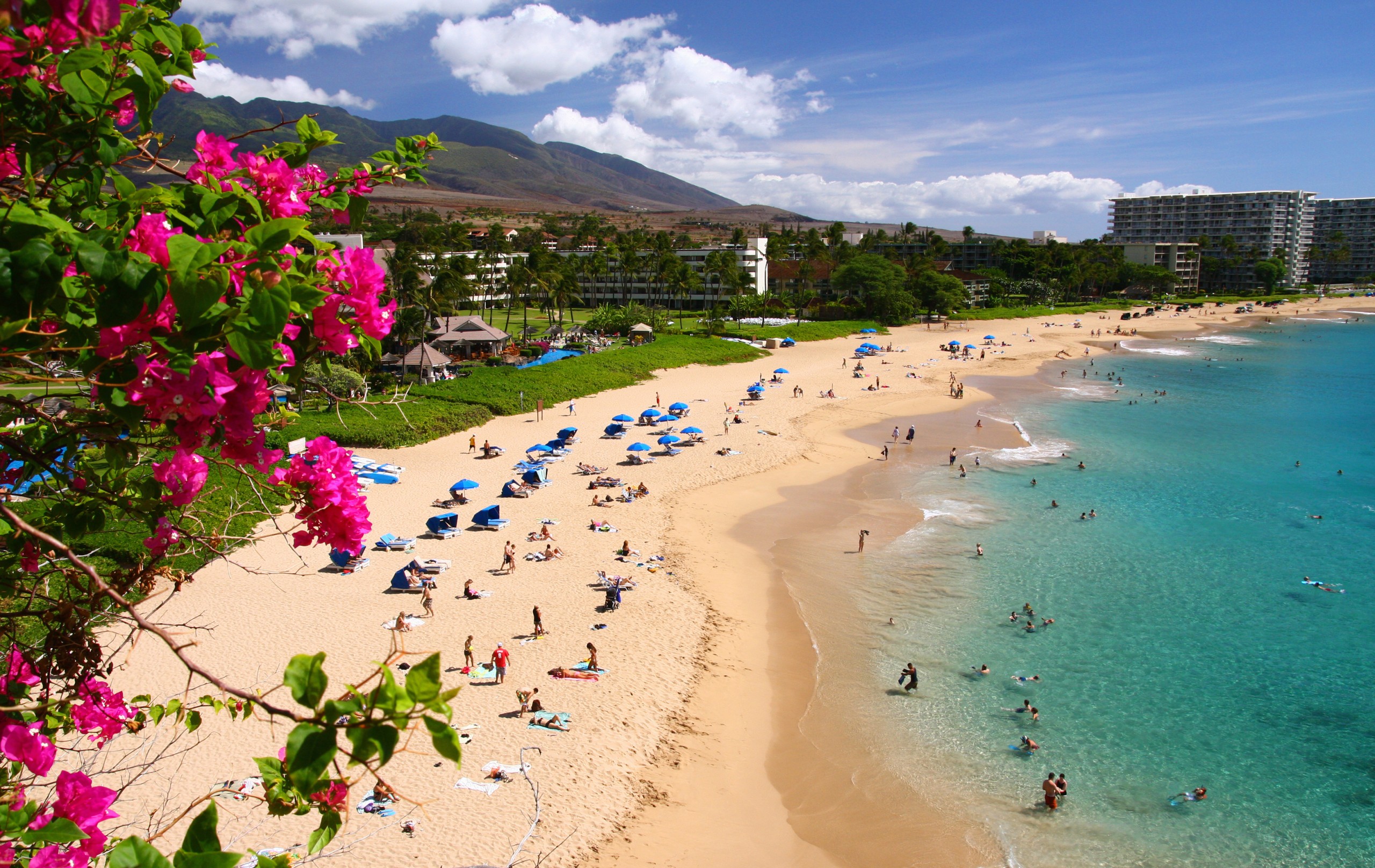 Best of Maui 2022: Outdoor Adventures - HAWAIʻI Magazine
