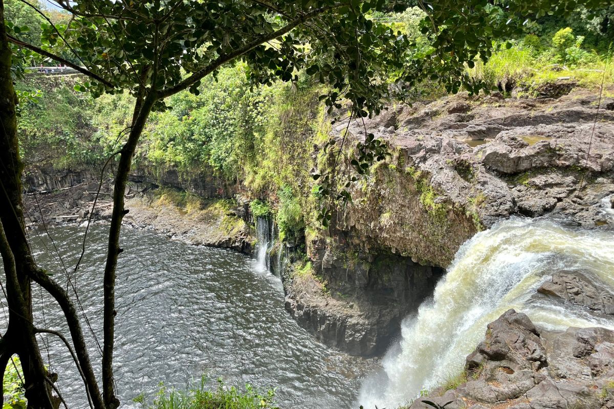 Tour the Tropical Fruit Farm at Rainbow Falls - HAWAIʻI Magazine