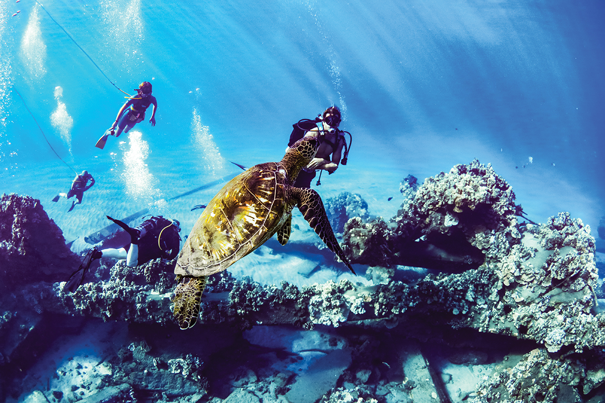 0722 Maui Molokini Turtle Trilogy Excursions Swp