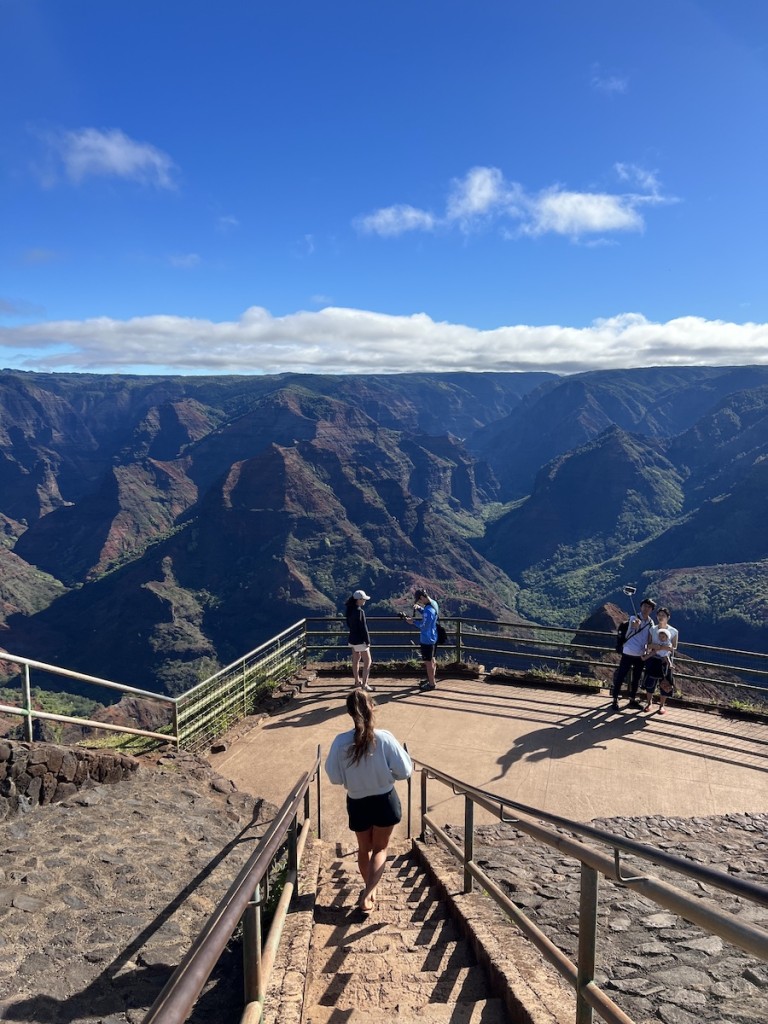 20221012 Kokeestate Waimea Ctf