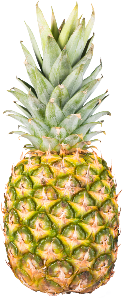 Maui Pineapple Store Maui Gold Pineapple