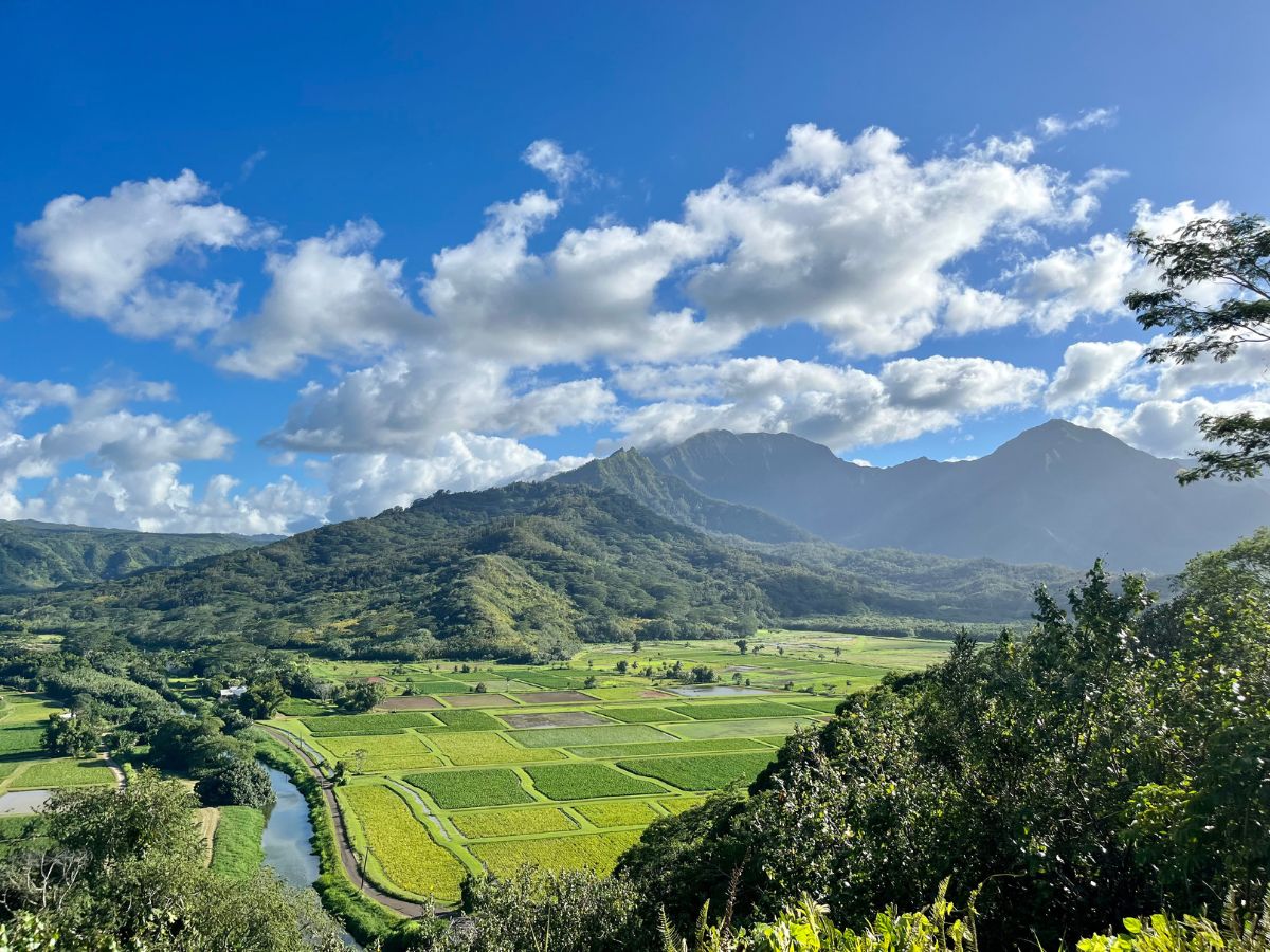 Hanaleivalleylookout