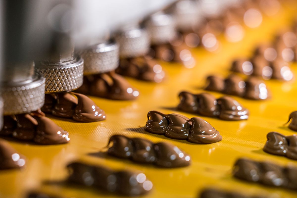 Hawaiianhostalohamacs