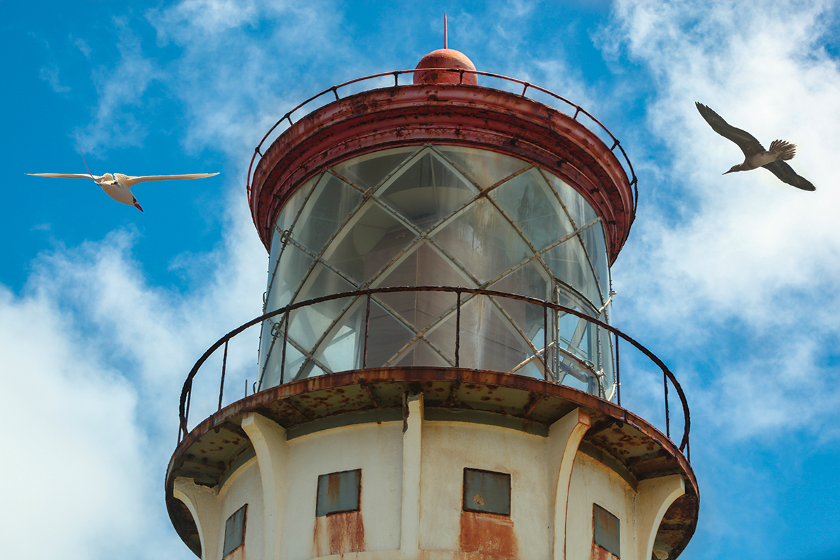 Kilauea Lighthouse With Birds