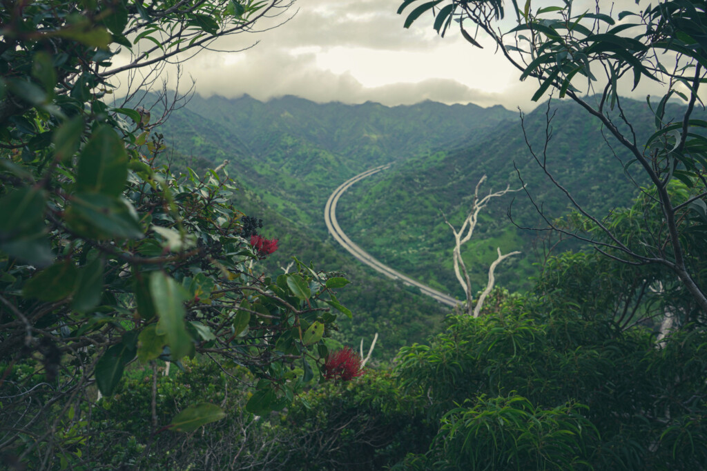 Scenic View Of Aiea Loop Trail With Camilla, Oahu, Hawaii Near H3 Freeway