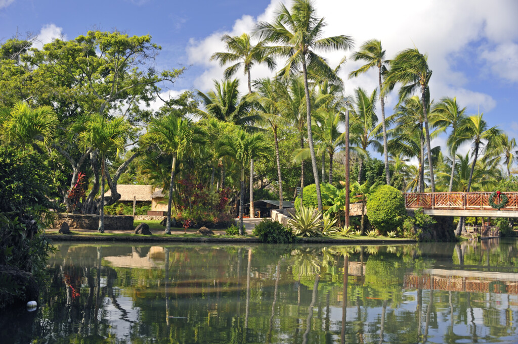 Polynesian Village