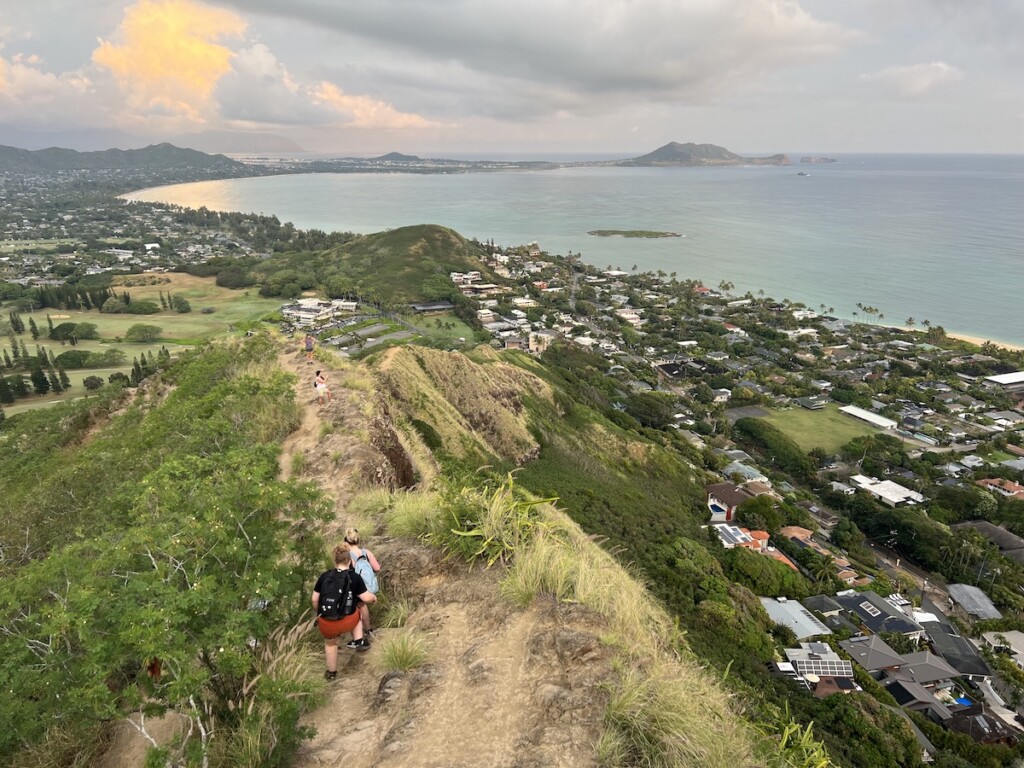 Pill box trail 