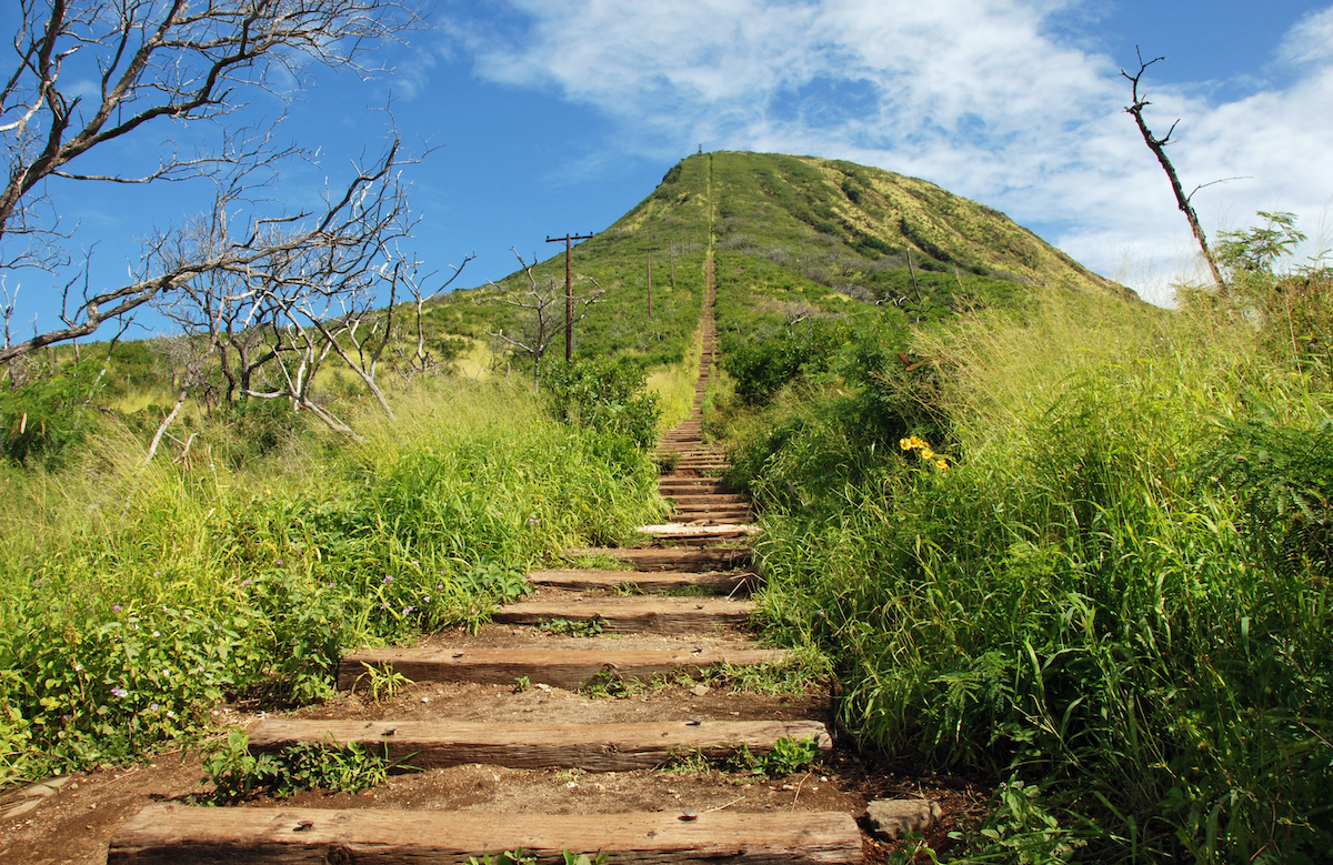 Trail On The Volcano