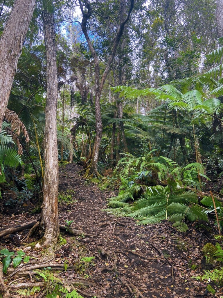 Kaloko Hike 1536x2048